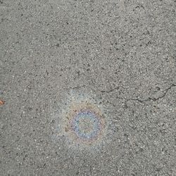 If Anyone's Giving Out A Free Nintendio Switch