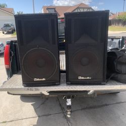 Professional DJ speakers