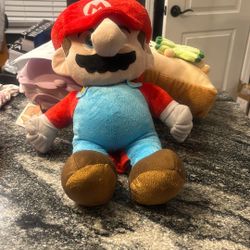 Super Mario Back Pack 