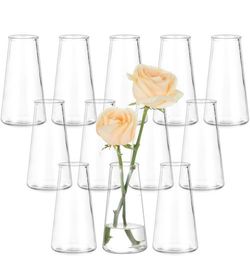Wedding Centerpiece Bud Vases – 12 Pack Clear Glass Flower Vases for Décor