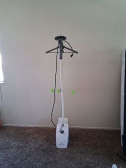 Steam fast steamer