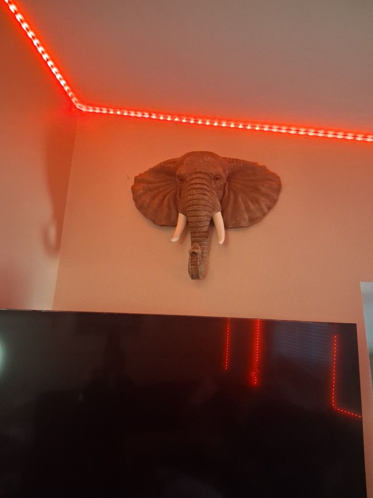 Hang Eliphant Decor