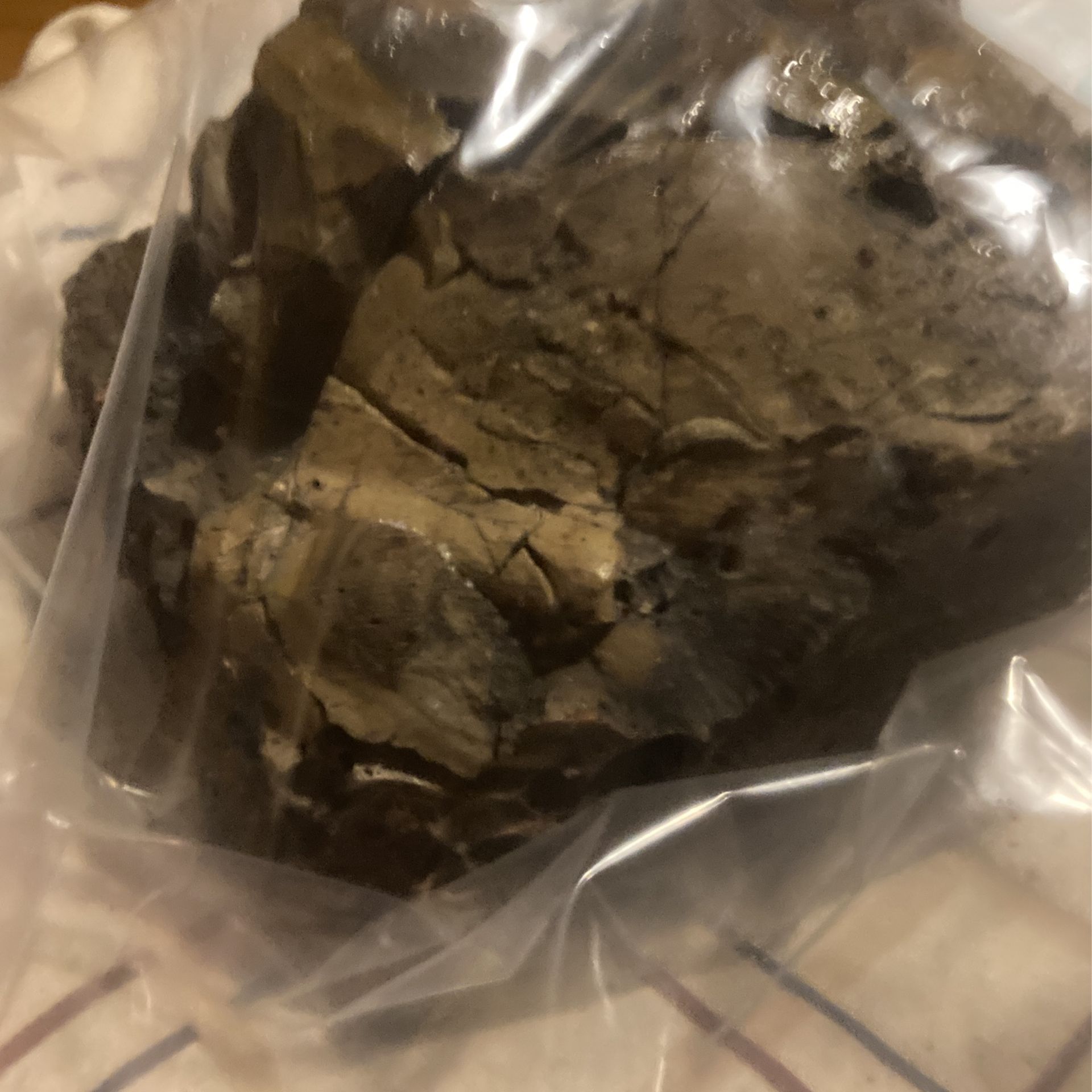Meteorite 5 Pounds Lunar