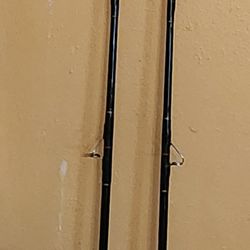 Salt Water Fishing Rod (2 for 1)