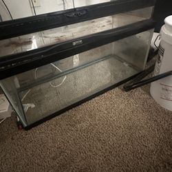 20 Gallon Long Fish Tank