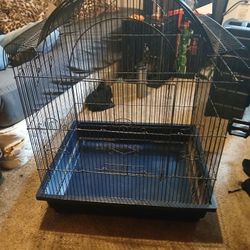 Bird Cage 