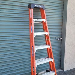 Werner 6' Ladder
