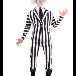 Beetlejuice Adult Halloween Costume Plus Size 2XL - Halloween Cosplay 3 Pc Set, new with tags, black/white striped, brand WB, includes jacket, Dickey