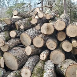 Pecan Fire Wood Delivered