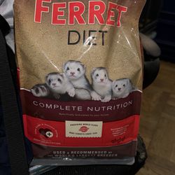 Ferret food