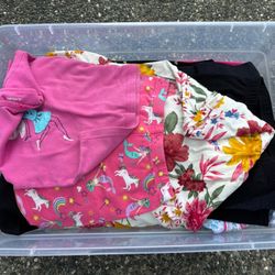 5T girls Clothes 20+ Outfits, Swim Suits, Etc