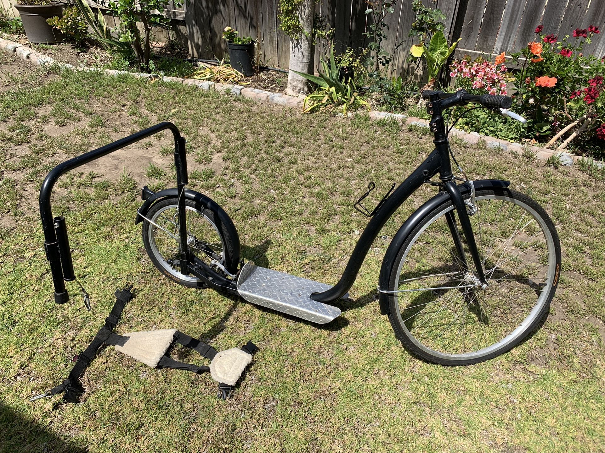 Dog Scooter (exercise scooter)
