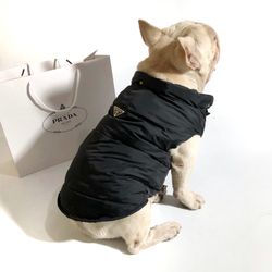 Designer Puppy Winter Vest