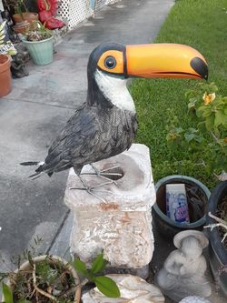 Pool really large colorful metal toucan garden decor