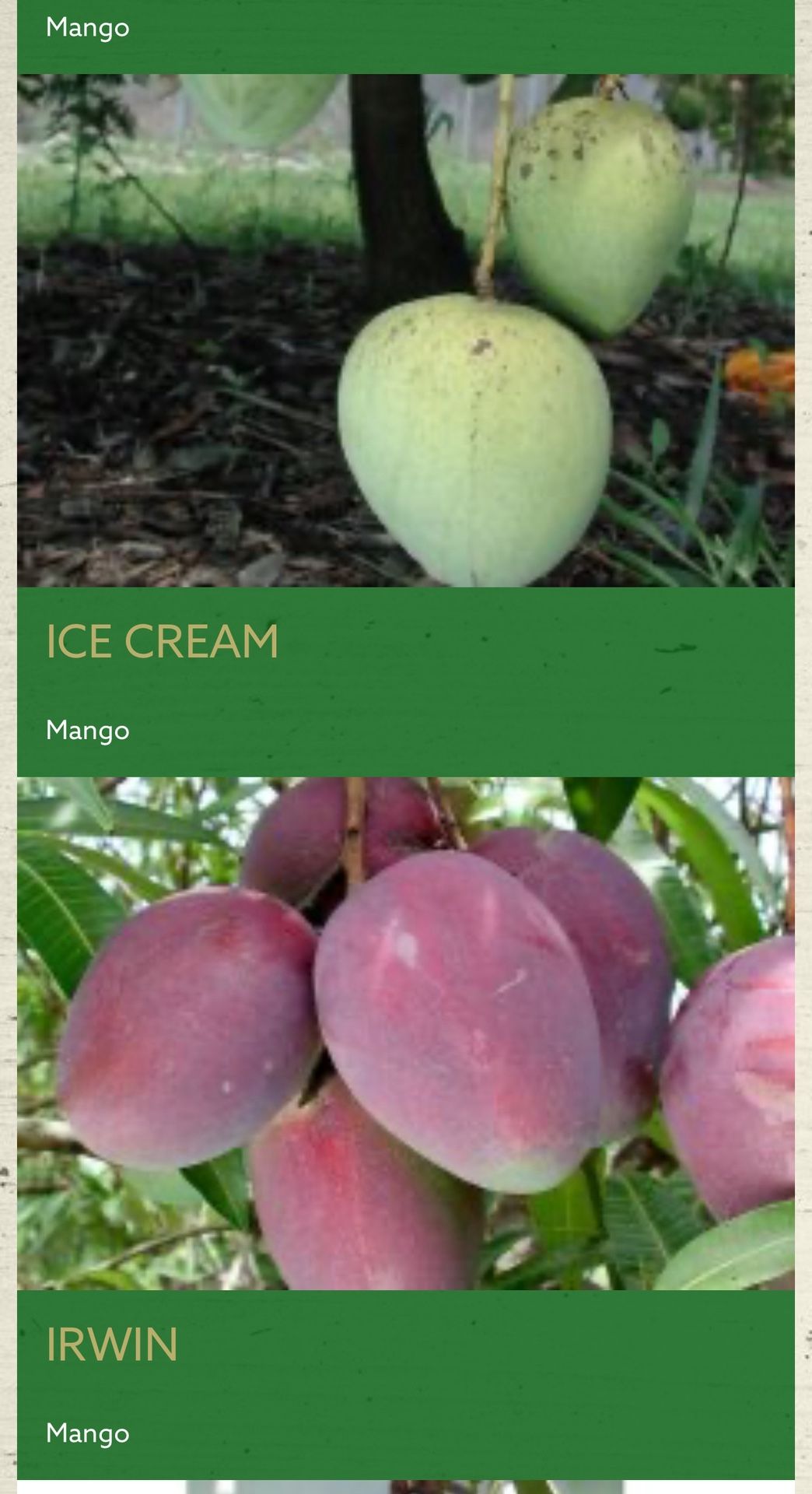 Local mangoes Very sweet different varieties