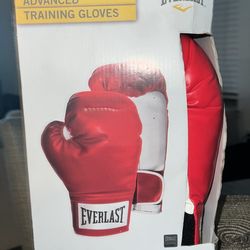 14oz Boxing gloves 