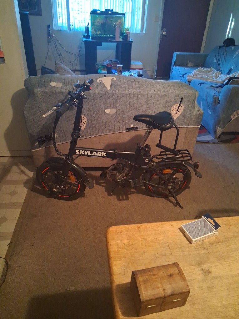 Skylark Ebike