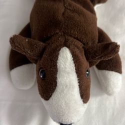 Bruno, The Dog Beanie Baby From 1997