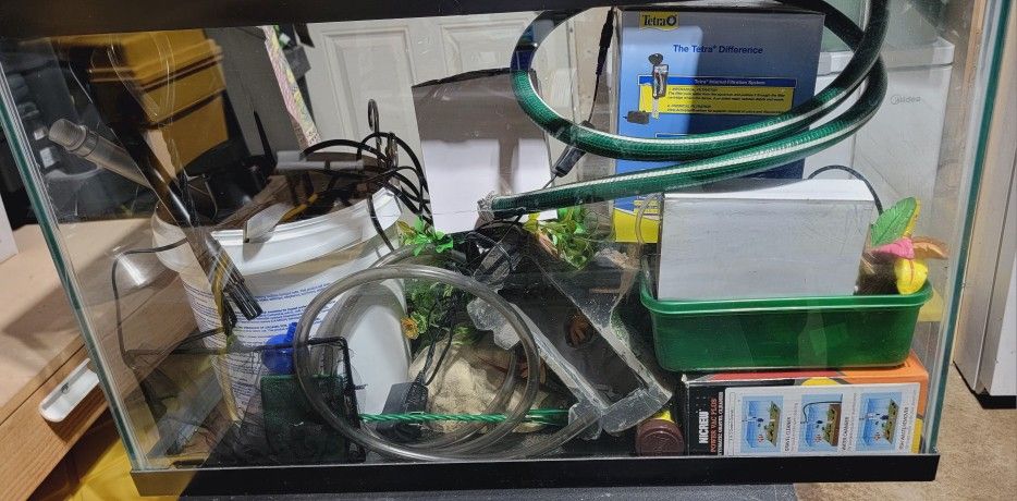 Fish Tank