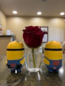 Despicable Me 2 Minion Figures Set of 2