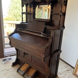 Organ