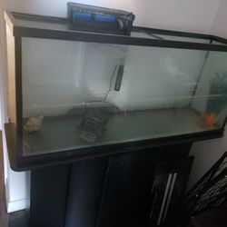 55 Gallon Fish Tank + Stand 