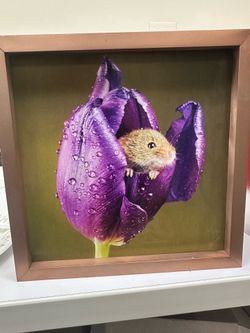 Adorable Framed Floral Mouse Wall Art