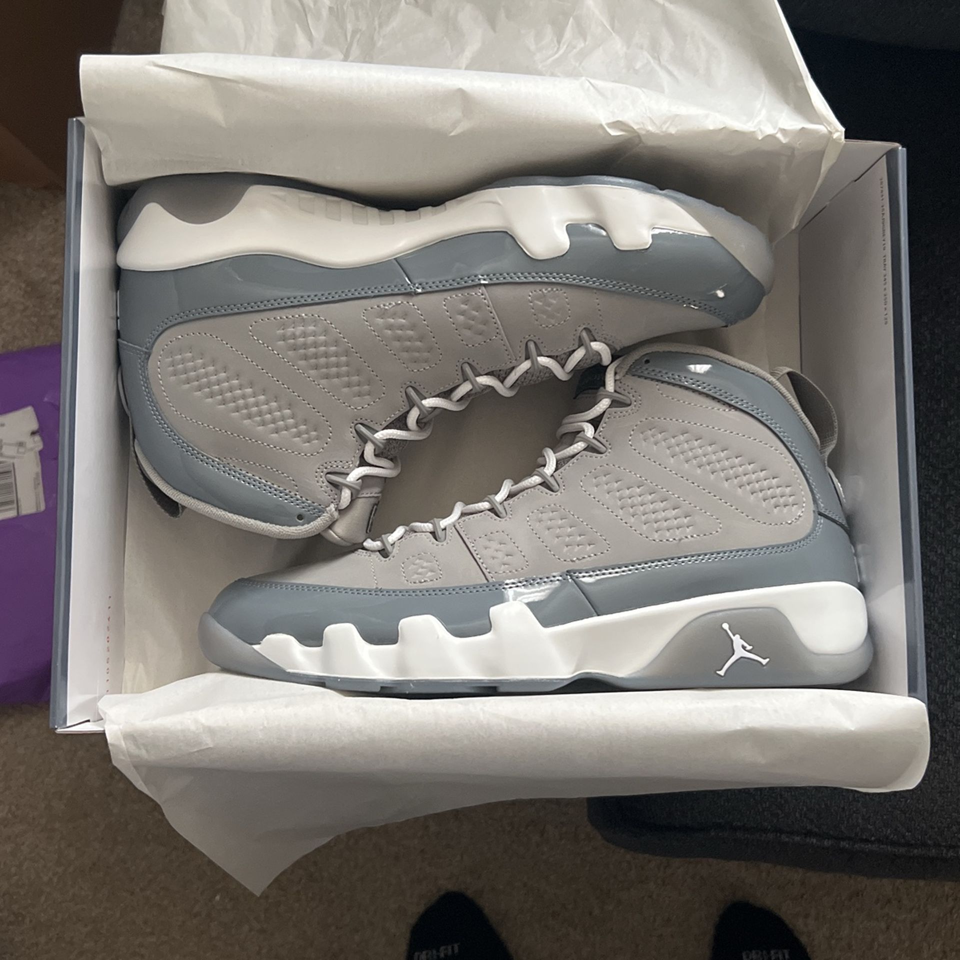 Jordan Cool Grey 9’s