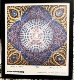 2003 Framed and Autographed Alex Gray LSD Blotter Deities & Demons 170/300 Ltd Edition