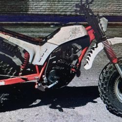 Vintage 1986 Yamaha Big Wheel BW200 dirt bike motorcycle Rare HTF