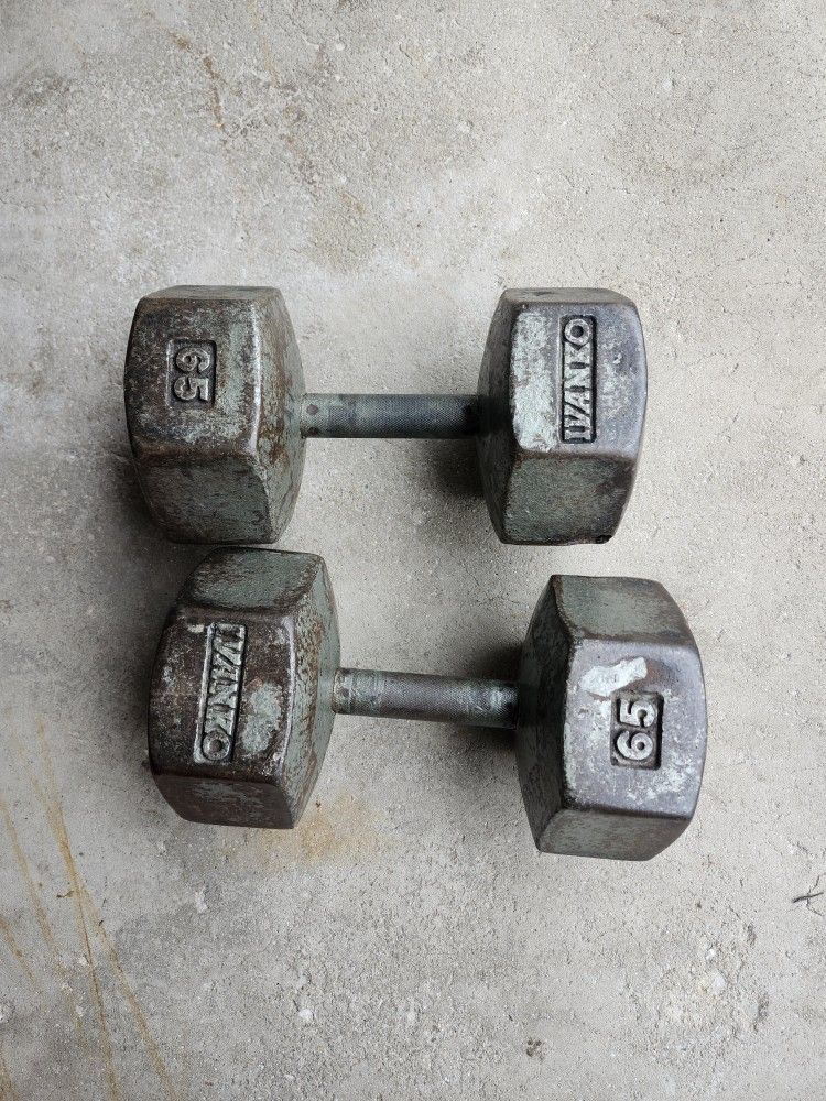 65 Lbs Ivanko Dumbbells