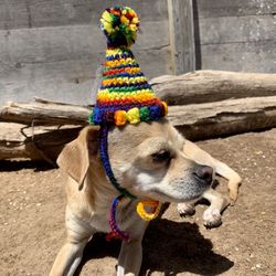 Birthday Party Hat for Dog Cat Pet Costume Prop Custom 