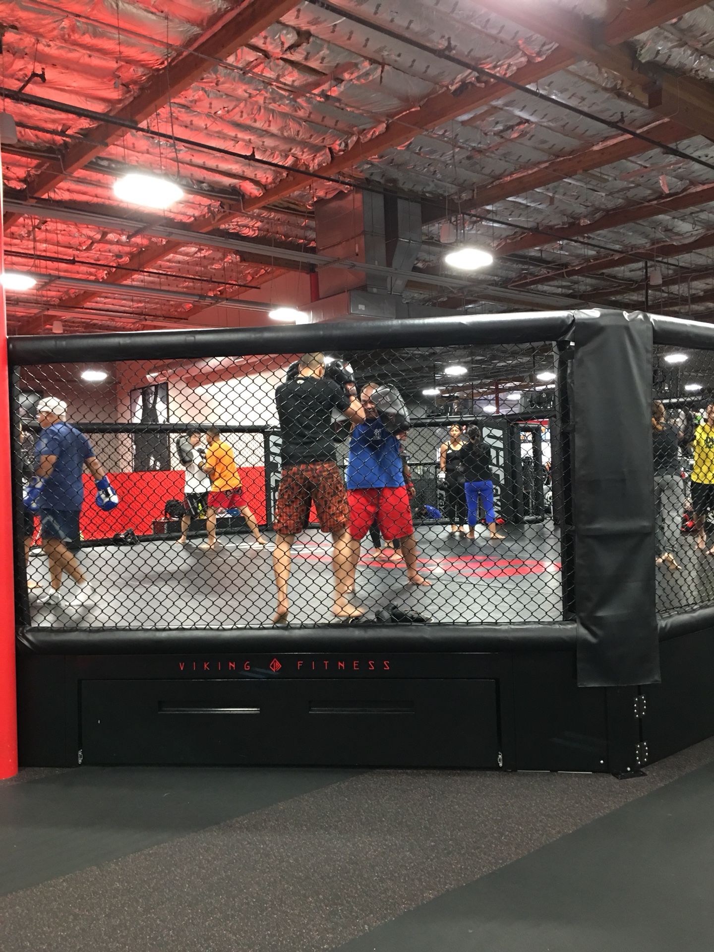 Free 8 Day UFC Gym Guest Pass!