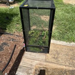 Chameleon Cage