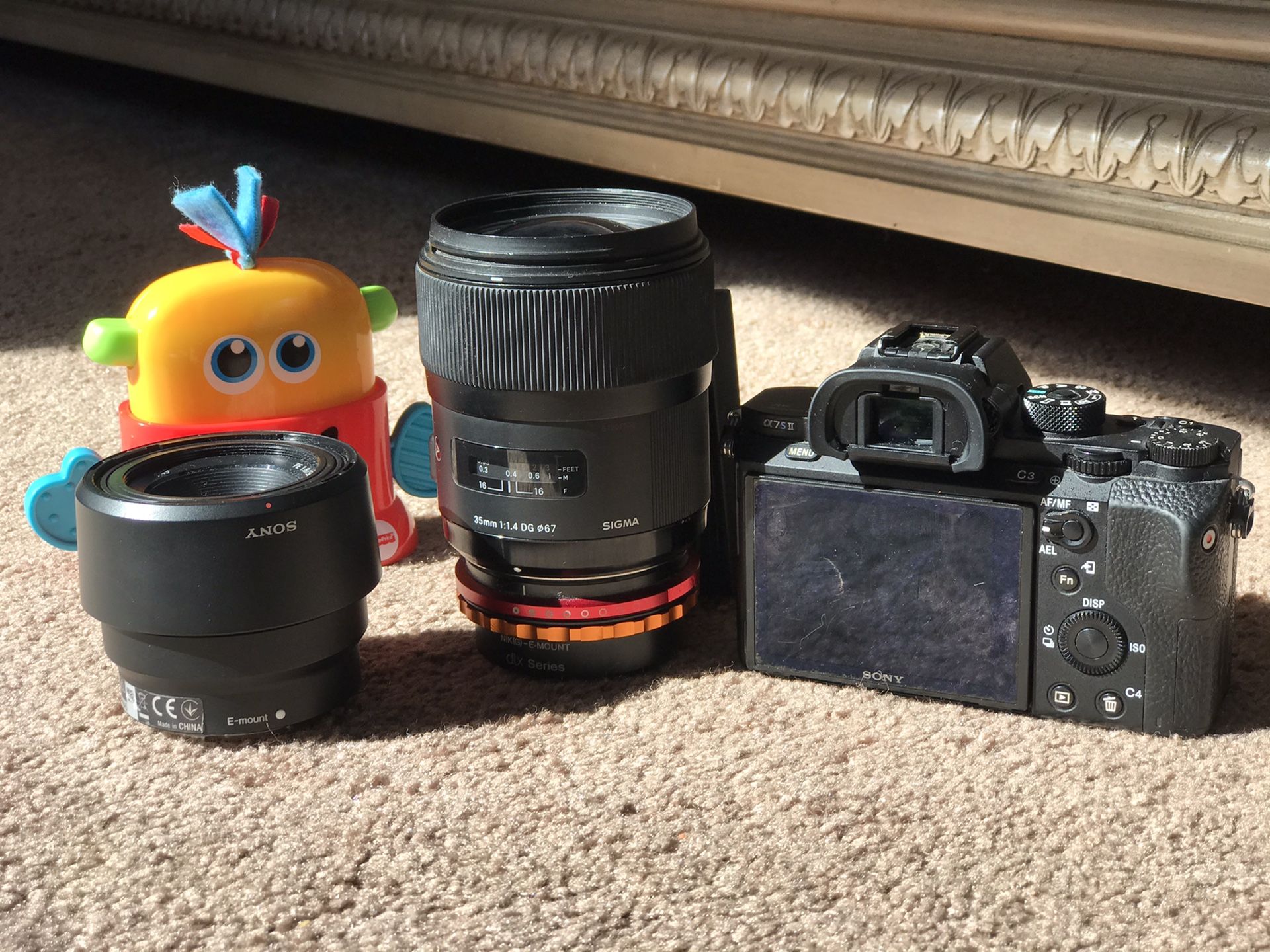 Sony Alpha a7S II Mirrorless Digital Camera + 2 x Lens + FluidHead + Tripod