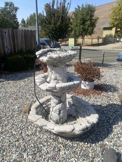 Nice Bird Bath