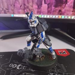 3d Printed Figures 