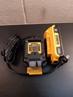 Dewalt charger with battery