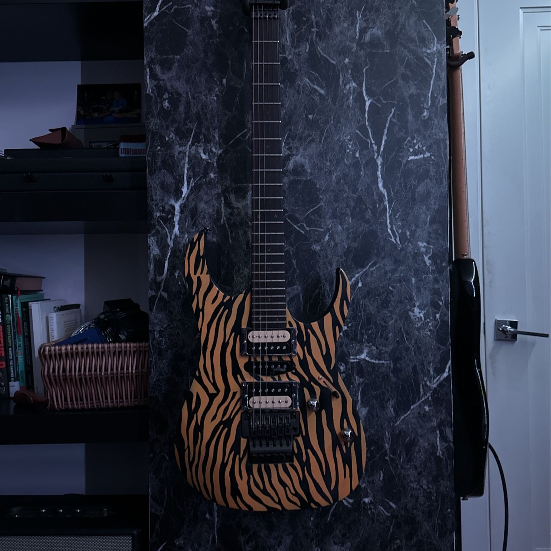 Custom Ibanez Electric Guitar