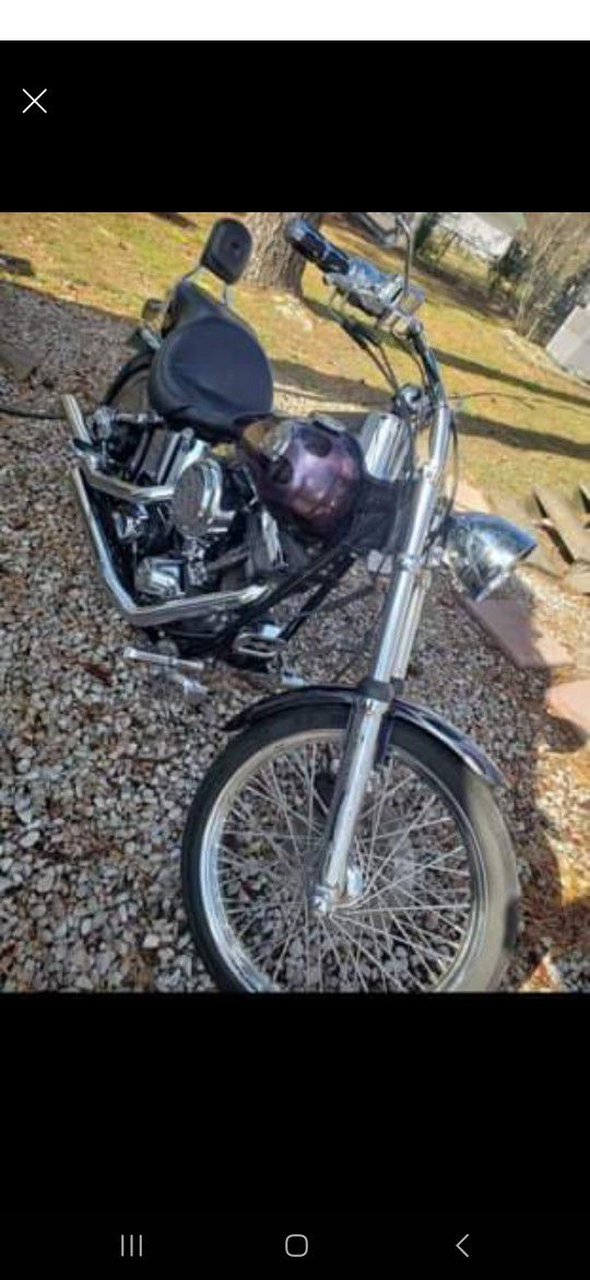1999 Harley Davidson Custom softail