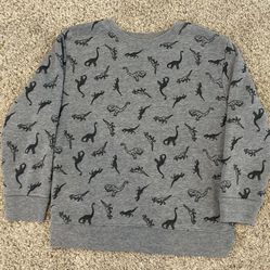 Dinosaur Sweatshirt 
