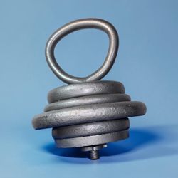 67 lb Kettlebell with Weight Plates
