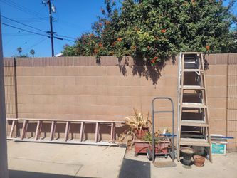 Take all! Extension Ladder and Step Ladder Set