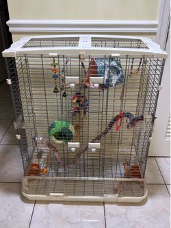 Bird Cage