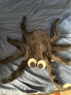 Spider costume for a small animal