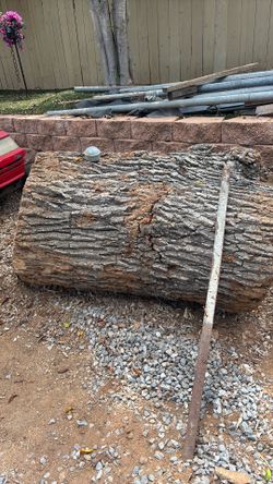 Free white oak
