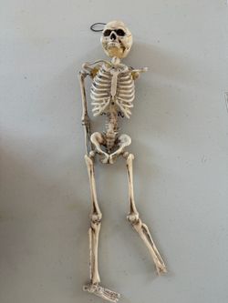 Hanging Plastic Skeleton Halloween Decoration