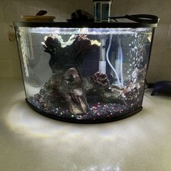 6 Gallon  Fish Tank 
