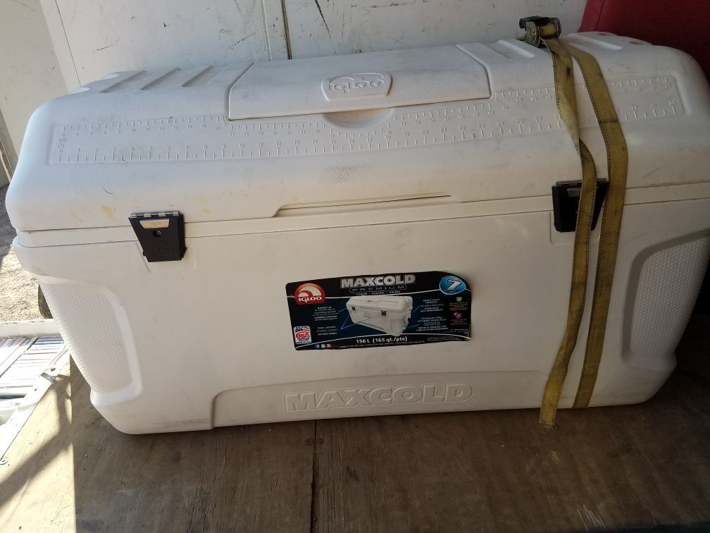 Igloo maxcold premium cooler