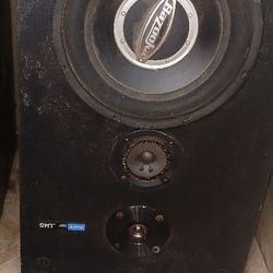 Bazooka 10" Subwoofers